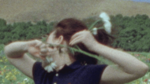 107e0484-0bc0-4a2a-a384-761b32f029bc.png