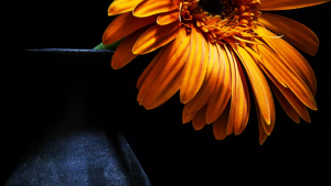 2cc0b0c6-0fc1-42d7-911c-33c30fc7a826.png