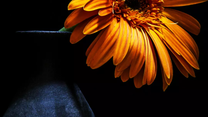 2cc0b0c6-0fc1-42d7-911c-33c30fc7a826.png