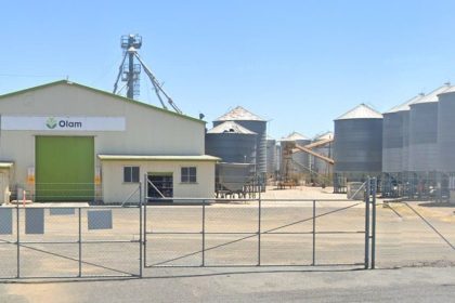 Saudi company SALIC to buyout Olam’s stake in Olam Agri 