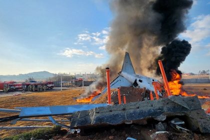 Eyewitnesses to South Korea plane crash recount sparks in engine, bird strike before collision