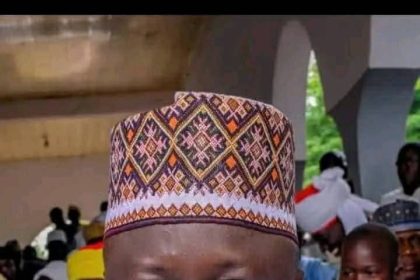 Niger LG chair dies in auto crash