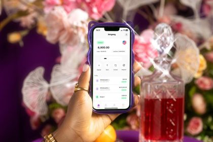 Nigeria’s Juicyway raises $3 million to help businesses solve FX shortage problem 
