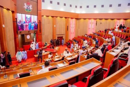 Tax reform: Tinubu orders review as protest persists in NASS
