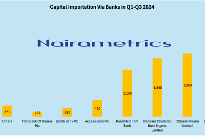 Stanbic IBTC tops list of preferred banks for capital importation in 2024