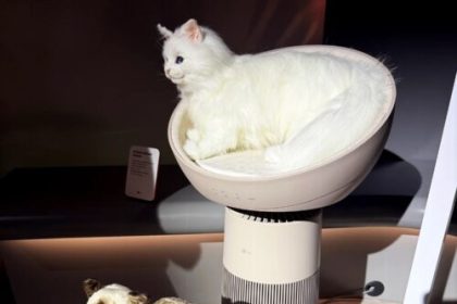 Three bizarre home devices and a couple good things at CES 2025