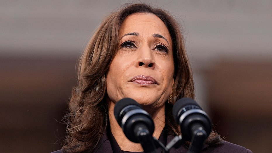 Harris tells DNC staffers after devastating layoffs, ‘our spirit will not be defeated’