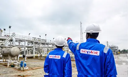 Seplat vs. Aradel Holdings: Which performed better in nine months 2024? 