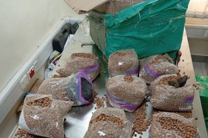 VIDEOS: NDLEA uncovers UK-bound drugs hidden in tiger nuts, groundnut parcels