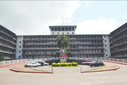 UCH spends about N80 million monthly on electricity bills – JOHESU  