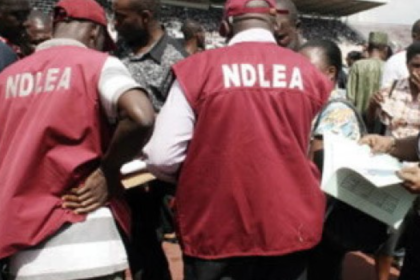 NDLEA arrests six kingpins, recovers narcotics worth billions of Naira 