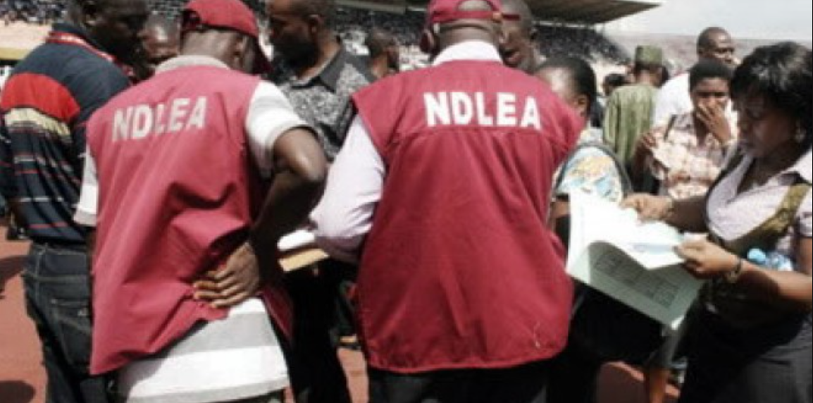 NDLEA arrests six kingpins, recovers narcotics worth billions of Naira 