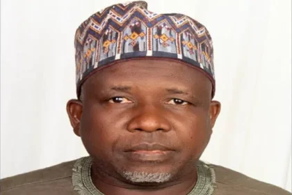 Nigeria Leather Institute to establish leather tanneries in all 36 states 