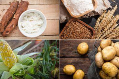 World food prices hit 18-month high in October – UN 