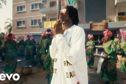 Celebrate Every Win with Fireboy DML’s Uplifting Visuals for “Iseoluwa”