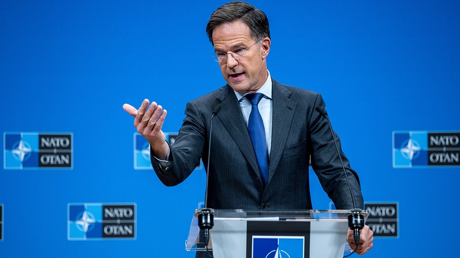 NATO chief defends Trump to critical MSNBC host, says ‘he was right’ to hit allies on defense spending