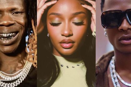 Seyi Vibez, Ayra Starr, Wizkid top Apple Music best  songs of 2024 in Nigeria