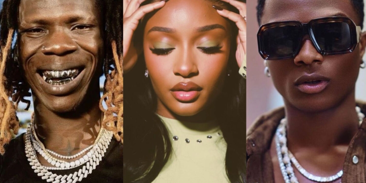 Seyi Vibez, Ayra Starr, Wizkid top Apple Music best  songs of 2024 in Nigeria