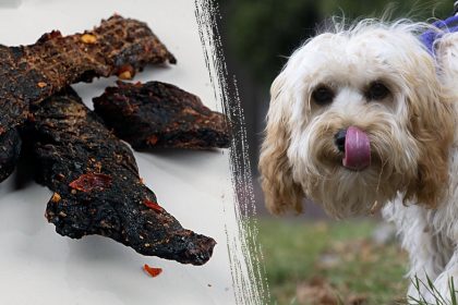 Mississippi teacher fired after allegedly feeding students dog treats mistaken for beef jerky