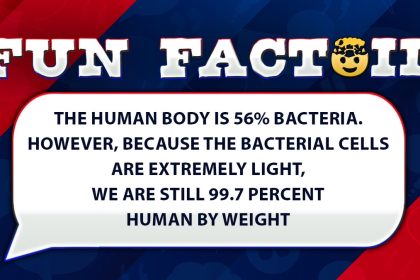 Fun Facts: The human body is 56% bacteria