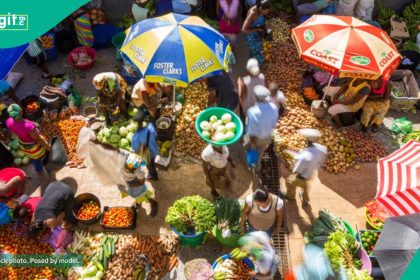 Giant of Africa: Nigera loses position, South Africa takes over as naira devalution causes$310bn loss