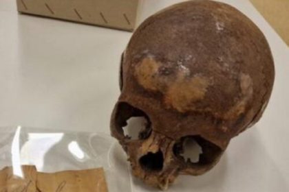 Skull long thought to be Cleopatra’s sister’s was actually a young boy