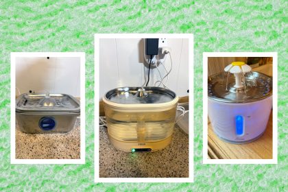 12 Best Cat Water Fountains, WIRED Tested and Reviewed (2025)