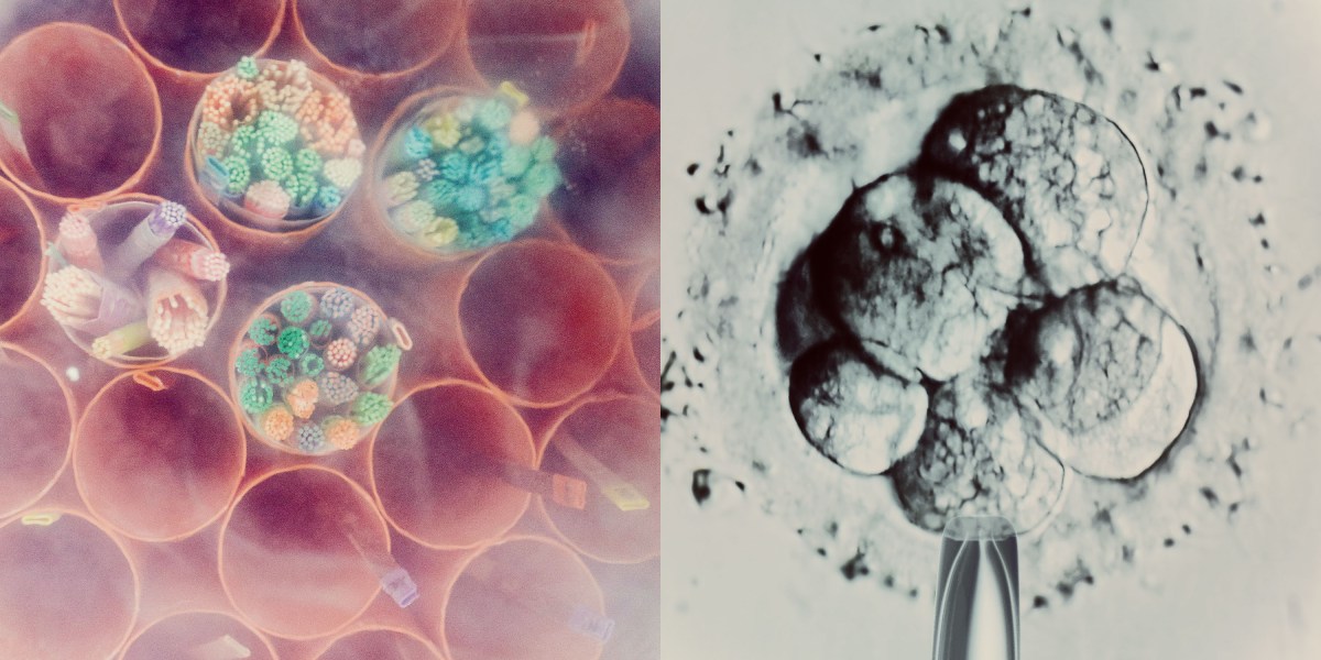 Inside the strange limbo facing millions of IVF embryos
