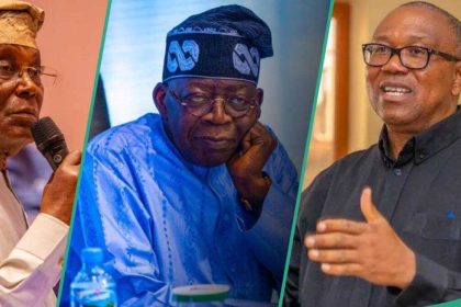 2027: Top political expert mentions 2 ‘strong’ politicians who must form alliance to defeat Tinubu
