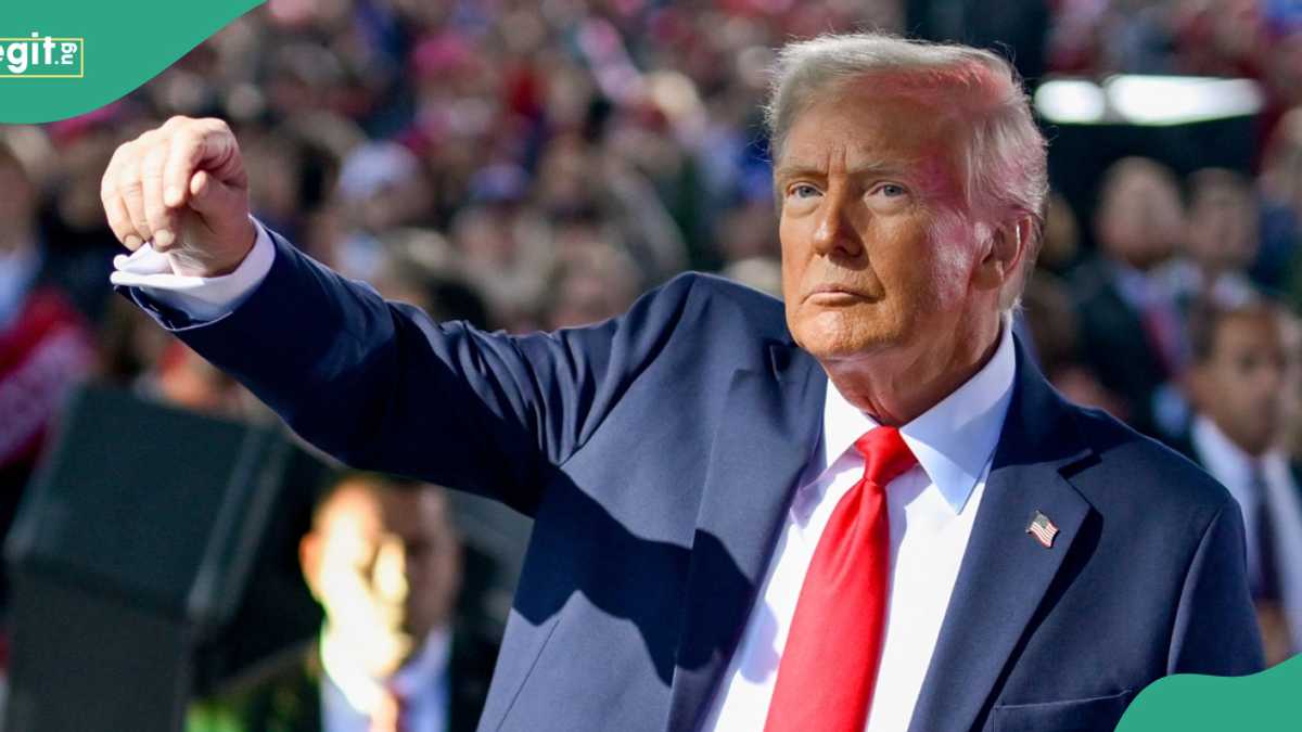 REVEALED: Prophecy drops on what will save US economy from collapse under Donald Trump