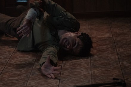 7 best werewolf movies, ranked
