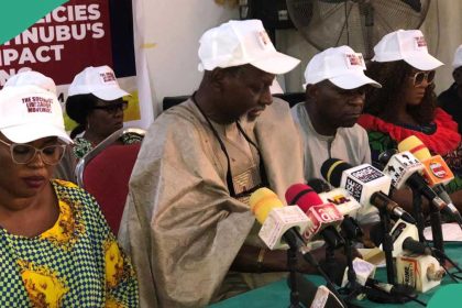 Tinubu’s govt receives commendation for economic policy, plans for Nigeria