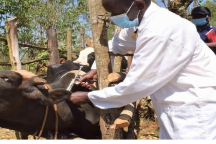 FG alerts Nigerians to anthrax outbreak in Zamfara 