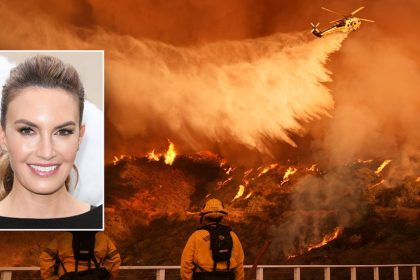 Hollywood actress calls LA Fires ‘a disaster,’ says not enough was done by elected officials