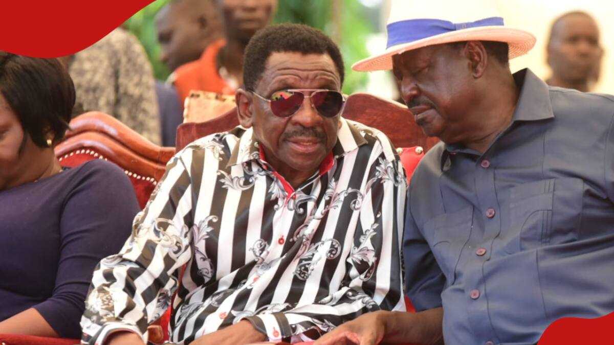 James Orengo Blasts ODM Politicians Overly Praising William Ruto: “Too Much Sycophancy”
