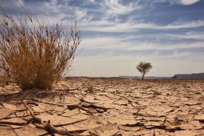 Nigeria received $4.928 billion for 828 climate-related projects in 6 years – Report 