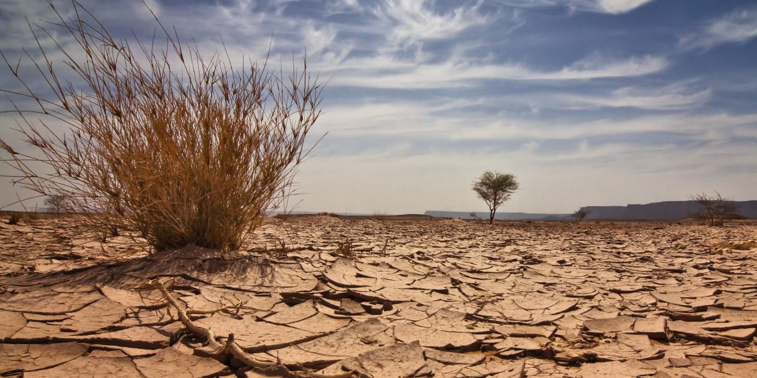 Nigeria received $4.928 billion for 828 climate-related projects in 6 years – Report 