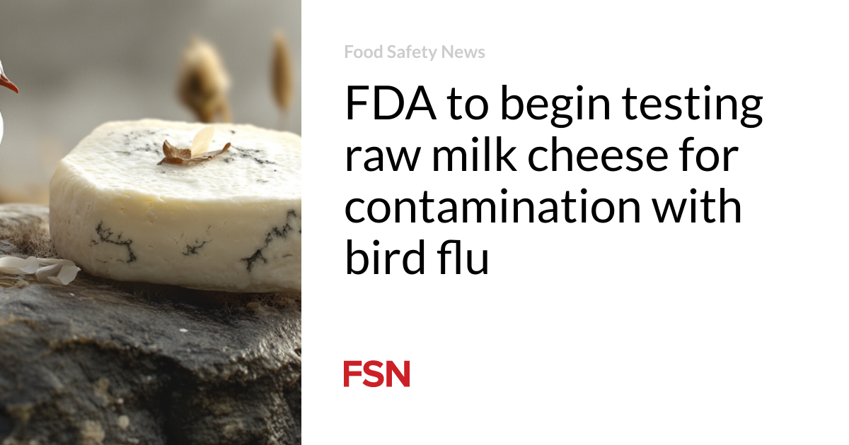 FDA to begin testing raw milk cheese for contamination with bird flu