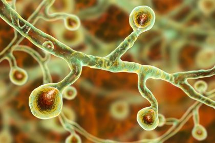 CDC Issues Final Report in Blastomycosis Outbreak