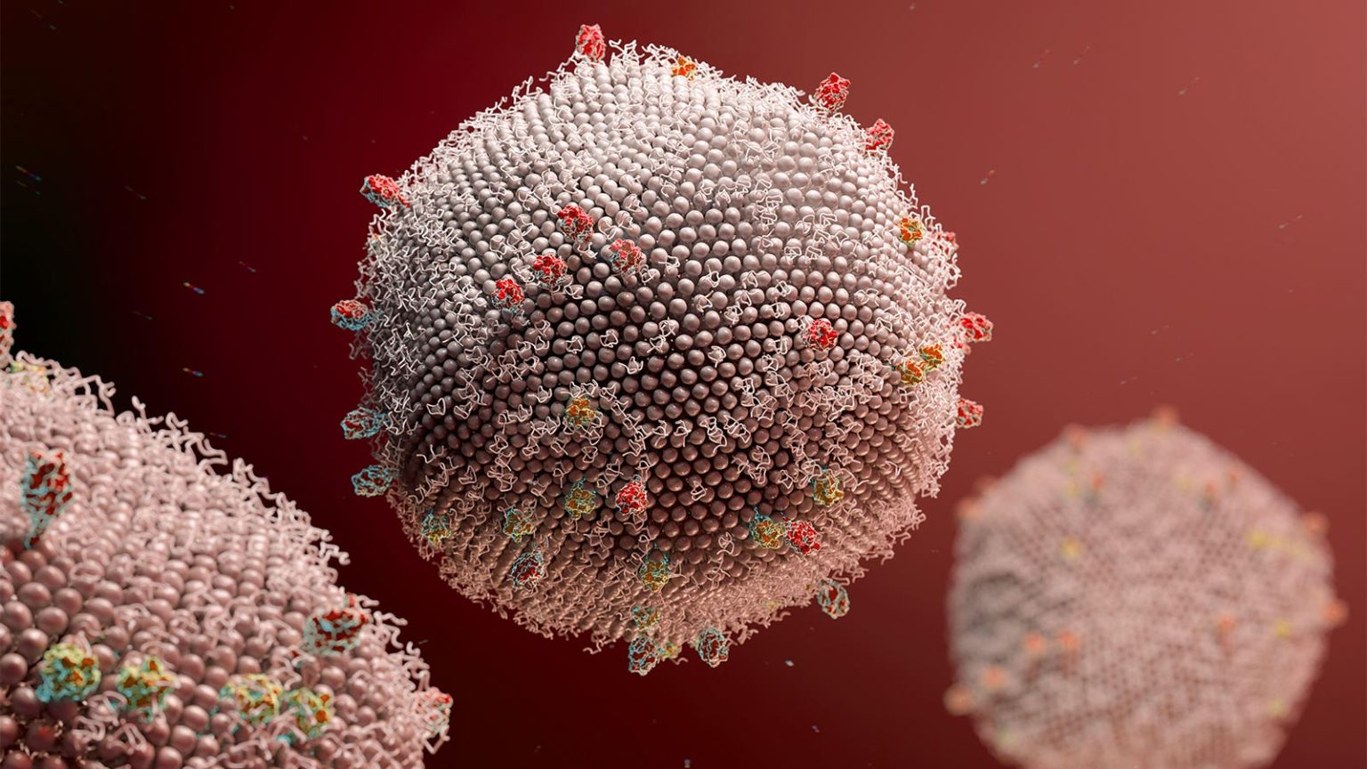 Older Immunocompromised Folks May Need More From RSV Vaccines