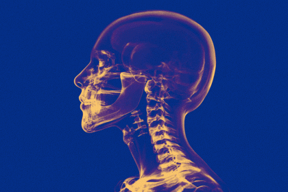 What Forbes, Dotdash Meredith, BuzzFeed and other publishers are saying about AI in 2025