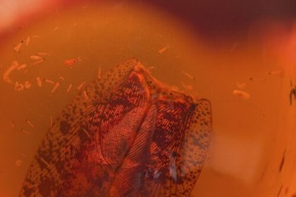 AI haters build tarpits to trap and trick AI scrapers that ignore robots.txt