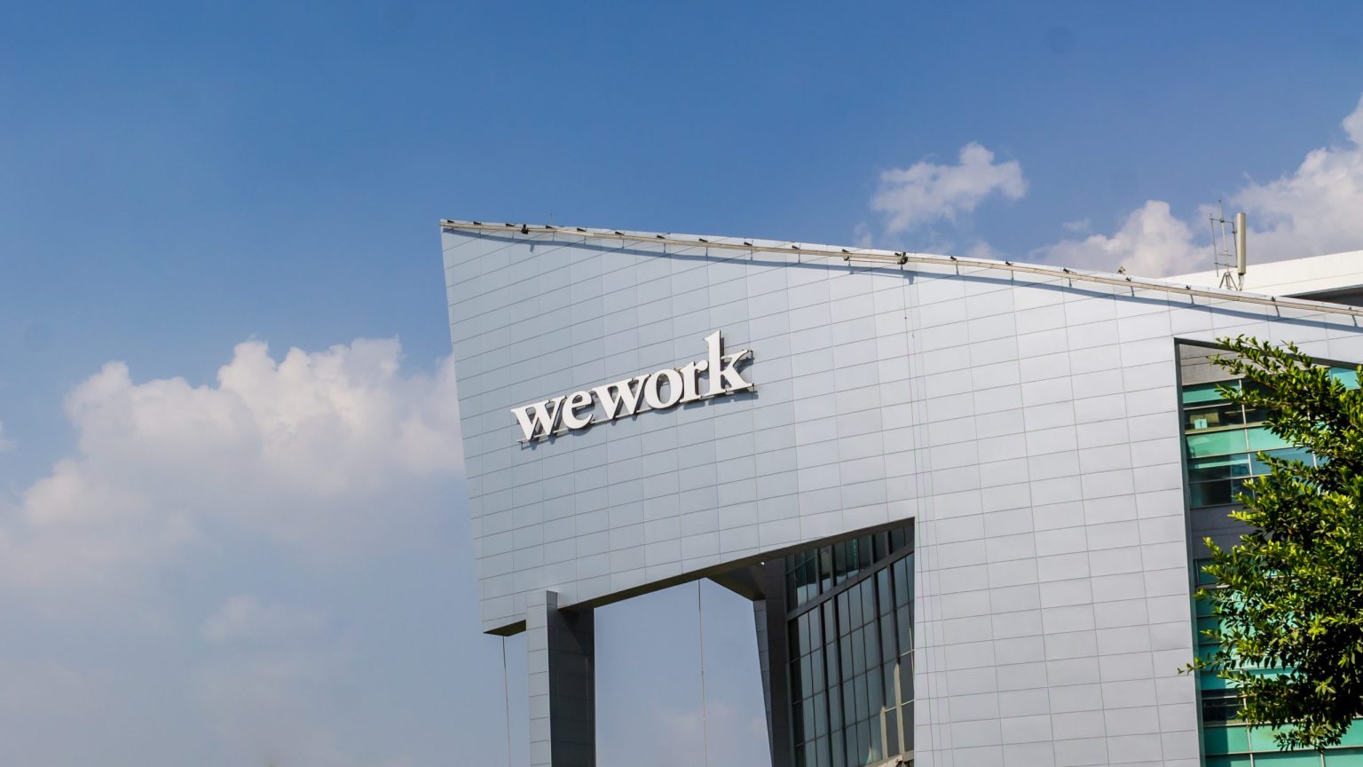 WeWork India reports 26.7% revenue growth for FY24