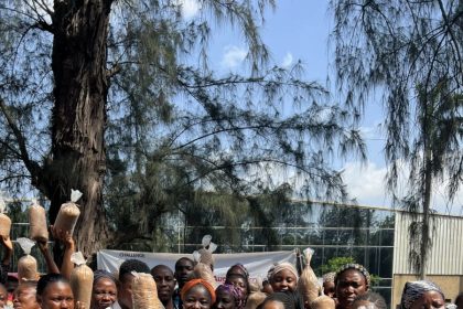 Beyond Child Nutrition: Augustsecrets to create 2000 jobs in Mushroom value chain