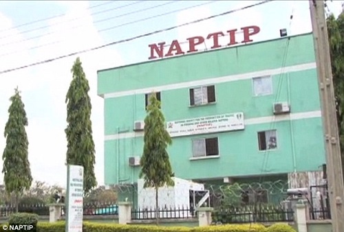 NAPTIP laments widespread human trafficking and irregular migration across Nigeria, seeks collaboration