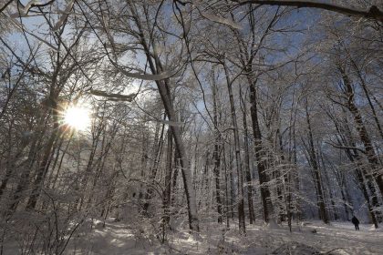 Abdulla: Ten good (and fun) habits for the new year