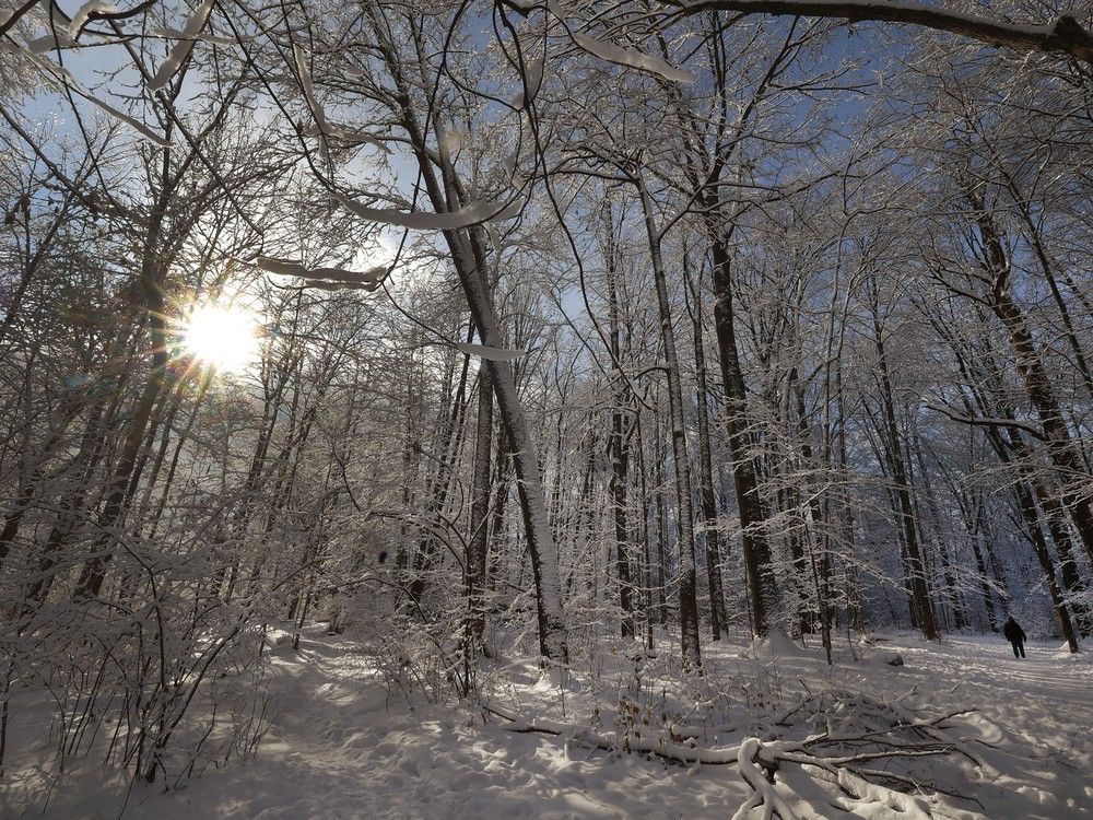 Abdulla: Ten good (and fun) habits for the new year