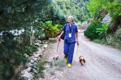 From Scrubs to Side Gigs: PAs Share Their Many Side Hustles