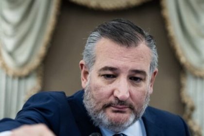 Senator Ted Cruz is trying to block Wi-Fi hotspots for schoolchildren