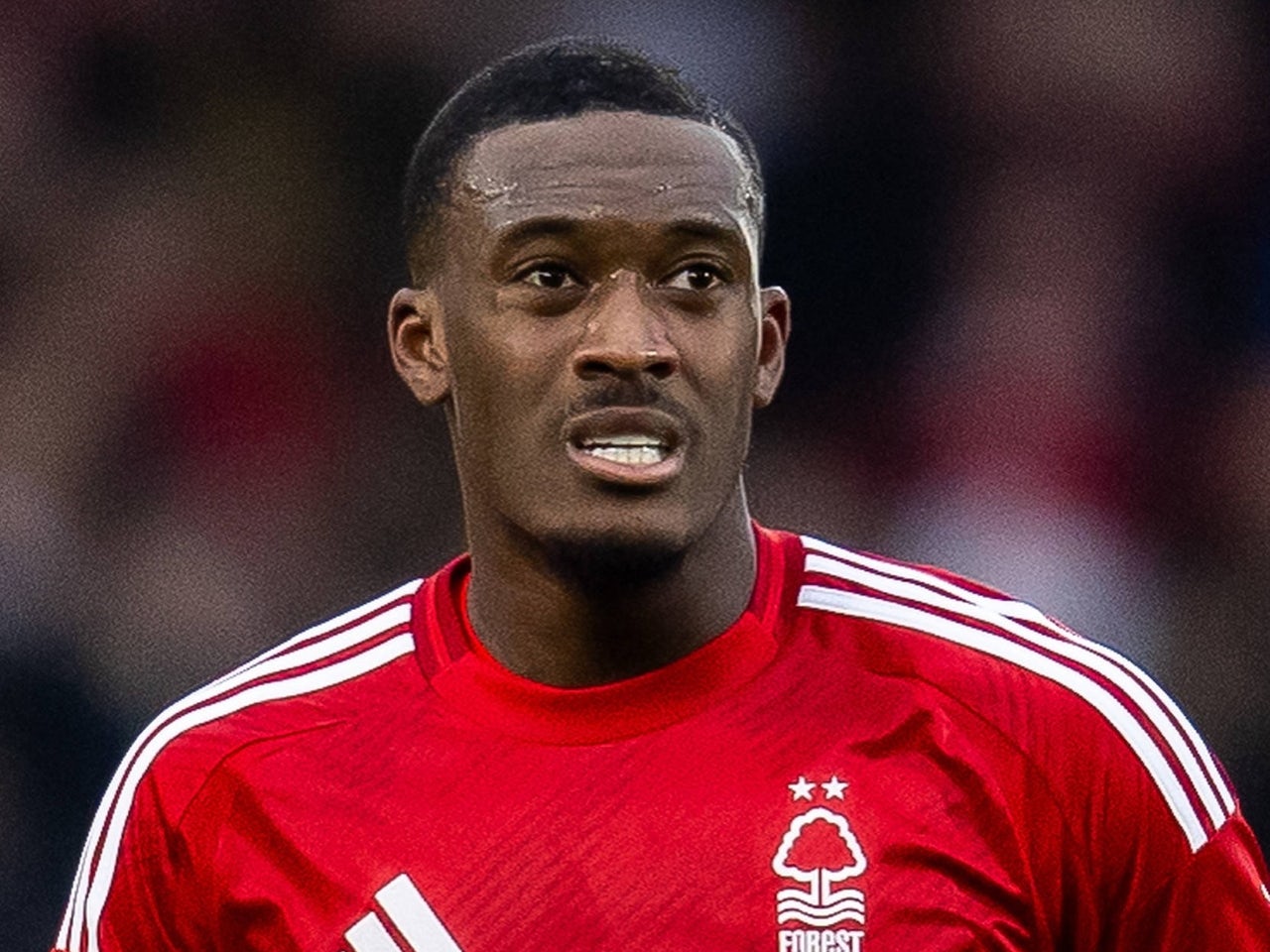 Nottingham Forest lineup vs. Brighton: Predicted XI for Premier League clash as Hudson-Odoi call made